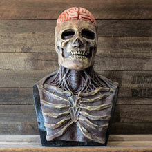 Load image into Gallery viewer, Full Head Skull Skeleton Mask Halloween Costume
