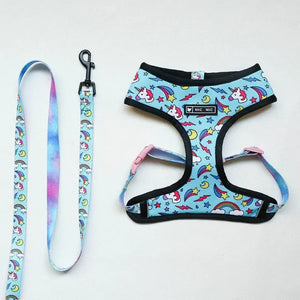 Leash Harness Set For French Bulldogs