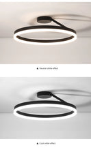 Load image into Gallery viewer, Modern LED Oval Celing Light Fixture
