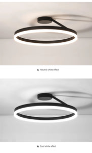 Modern LED Oval Celing Light Fixture