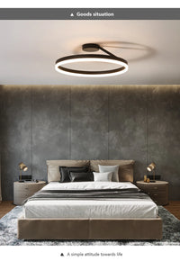 Modern LED Oval Celing Light Fixture