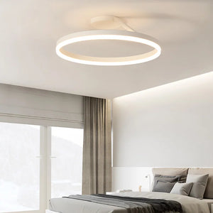 Modern LED Oval Celing Light Fixture