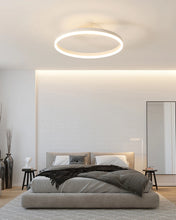 Load image into Gallery viewer, Modern LED Oval Celing Light Fixture
