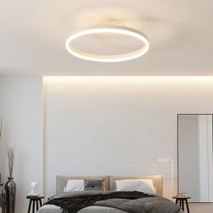 Modern LED Oval Celing Light Fixture