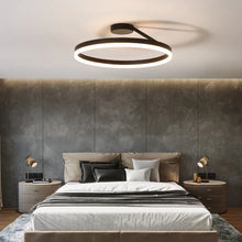 Load image into Gallery viewer, Modern LED Oval Celing Light Fixture
