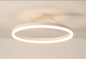 Modern LED Oval Celing Light Fixture