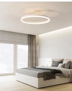 Modern LED Oval Celing Light Fixture