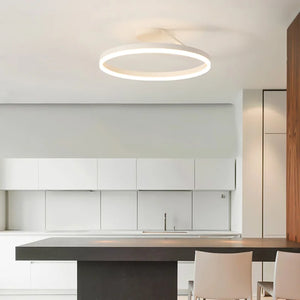 Modern LED Oval Celing Light Fixture