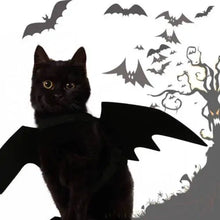 Load image into Gallery viewer, Halloween Pet Costume
