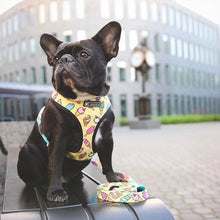 Load image into Gallery viewer, Leash Harness Set For French Bulldogs
