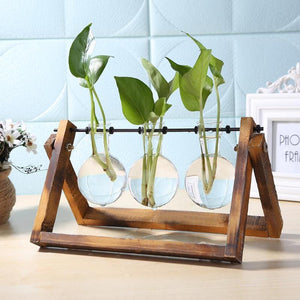 Glass and Wood  Planter Table Desktop Vase