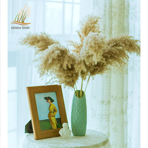 Pampas tall grass decor plants  20-22‘’ plastic vase