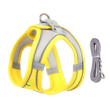 Load image into Gallery viewer, Dog Harness Leash Set for Small Dogs
