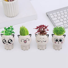 Load image into Gallery viewer, Mini Cat Shaped Cartoon Ceramic Flowerpot
