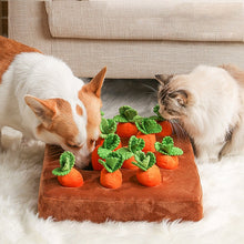 Load image into Gallery viewer, Pet Vegetable Chew Toy
