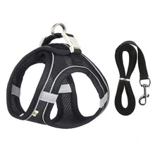 Load image into Gallery viewer, Dog Harness Leash Set for Small Dogs
