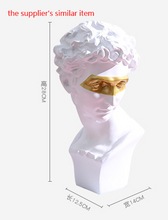 Load image into Gallery viewer, David Resin Statue Sculpture
