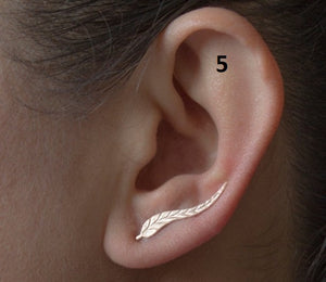 Women's Fashion Earrings