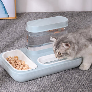 Pet Feeder Bowl