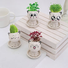 Load image into Gallery viewer, Mini Cat Shaped Cartoon Ceramic Flowerpot
