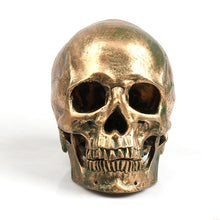 Load image into Gallery viewer, Bronze resin skull model home decor
