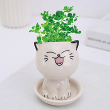 Load image into Gallery viewer, Mini Cat Shaped Cartoon Ceramic Flowerpot
