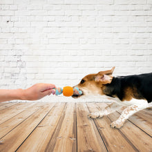 Load image into Gallery viewer, Bite Resistant Teething Rope Toy for Small and Medium Dogs
