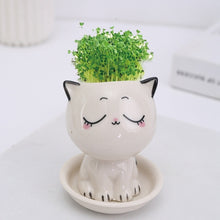 Load image into Gallery viewer, Mini Cat Shaped Cartoon Ceramic Flowerpot
