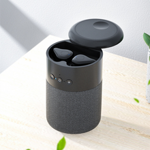 Load image into Gallery viewer, 2-in-1 Mini Bluetooth Speaker &amp; Headphones
