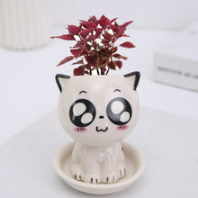 Load image into Gallery viewer, Mini Cat Shaped Cartoon Ceramic Flowerpot
