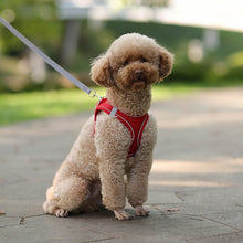 Load image into Gallery viewer, Dog Harness Leash Set for Small Dogs
