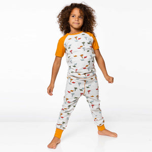 Kid's Organic Cotton Two Piece Pajama Set