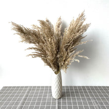 Load image into Gallery viewer, Pampas tall grass decor plants  20-22‘’ plastic vase
