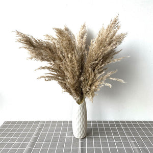 Pampas tall grass decor plants  20-22‘’ plastic vase