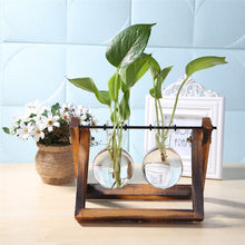 Load image into Gallery viewer, Glass and Wood  Planter Table Desktop Vase
