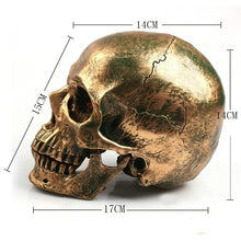 Load image into Gallery viewer, Bronze resin skull model home decor
