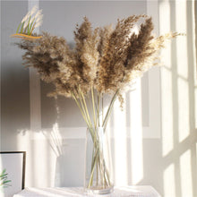 Load image into Gallery viewer, Pampas tall grass decor plants  20-22‘’ plastic vase
