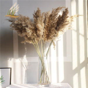 Pampas tall grass decor plants  20-22‘’ plastic vase