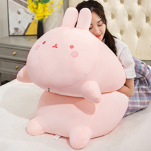 Load image into Gallery viewer, Chonky Stuffed Bunny Plush
