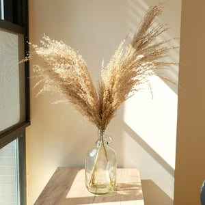 Pampas tall grass decor plants  20-22‘’ plastic vase