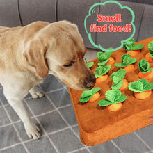 Load image into Gallery viewer, Pet Vegetable Chew Toy
