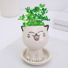 Load image into Gallery viewer, Mini Cat Shaped Cartoon Ceramic Flowerpot
