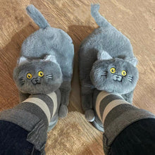 Load image into Gallery viewer, Cuddly Hug Cat Slippers
