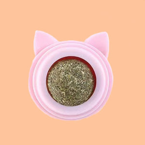 Natural Cat Catnip